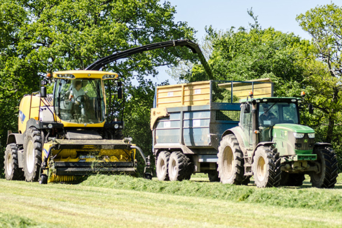 New holland forage harvester picking up grass silage fitted with a selmech additive applicator