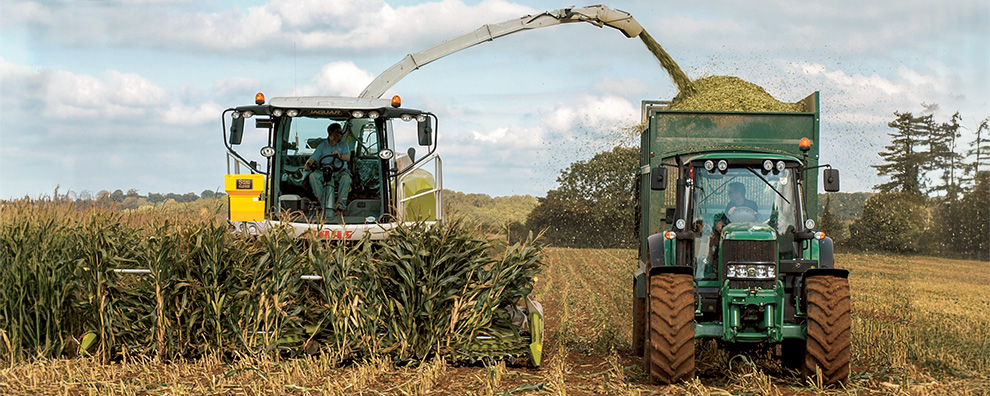 Powdermaster powderbox applying silage additive on a self proppeled forage harvester